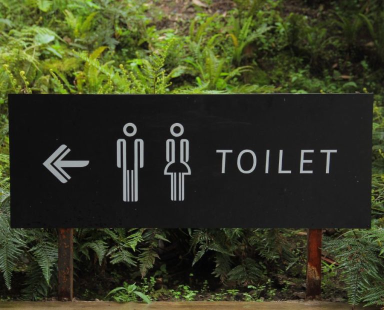 limpieza baño restaurante