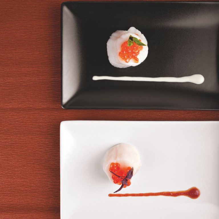 Vajilla de gres con esmalte para restaurante